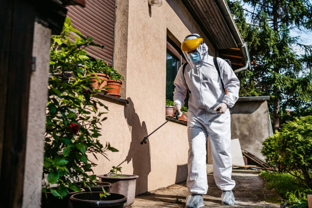 Best Pest Prevention Services  in Chevy Chase, MD