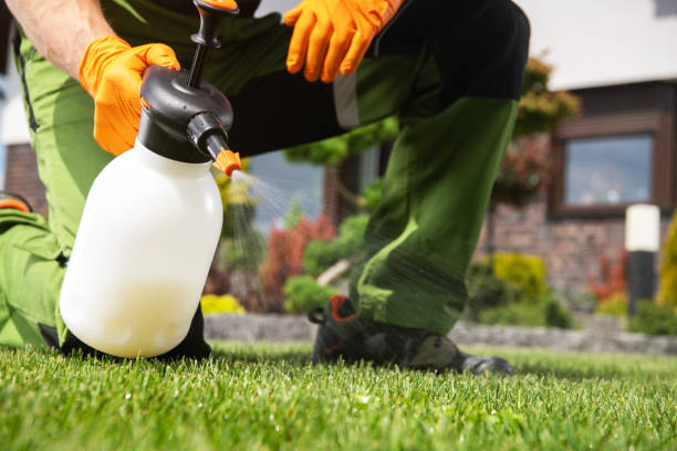 Best Wildlife Control Services  in Chevy Chase, MD