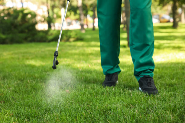 Best Pest Inspection Near Me  in Chevy Chase, MD