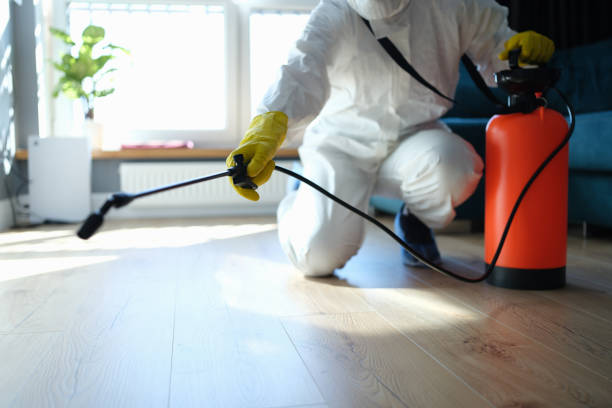 Best Local Pest Control Services  in Chevy Chase, MD
