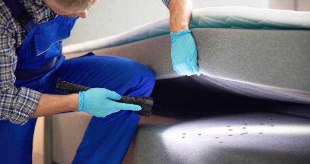 Best Affordable Pest Control Services  in Chevy Chase, MD