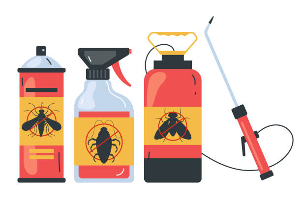 Best Ant Control Services  in Chevy Chase, MD