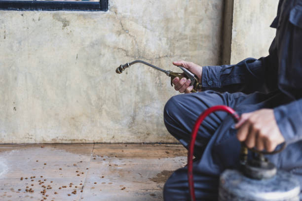 Best Affordable Pest Control Services  in Chevy Chase, MD