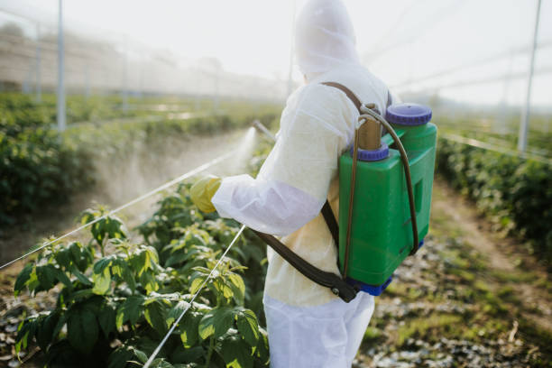 Best Mosquito Control Services  in Chevy Chase, MD